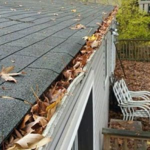 Gutter Cleaning service near me 