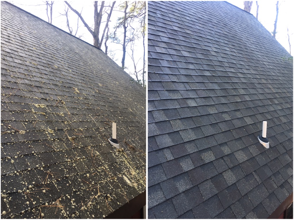 Roof Cleaning Services in Maryland