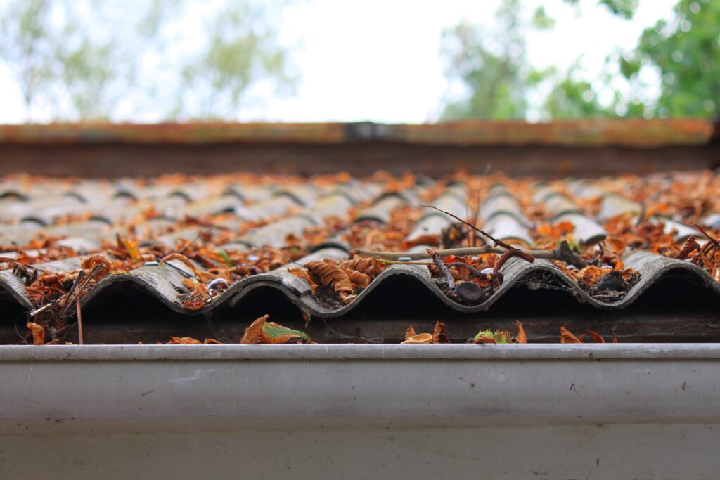 10 Common Gutter Problems And How To Fix Them