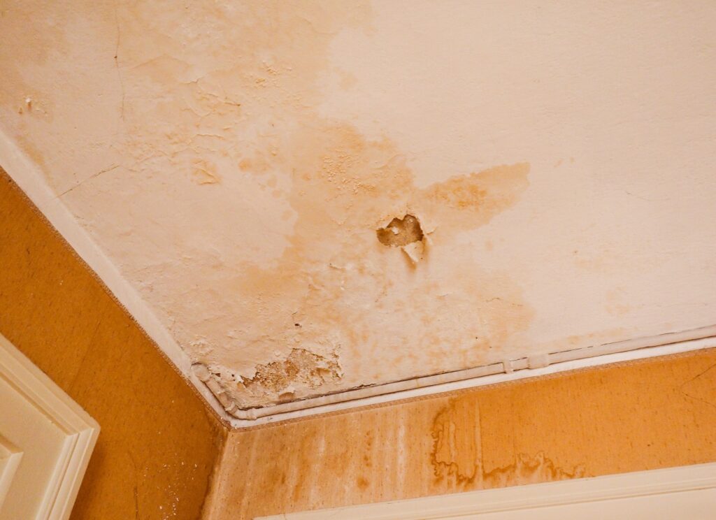 Damp Patch On Ceiling: Causes And Cures