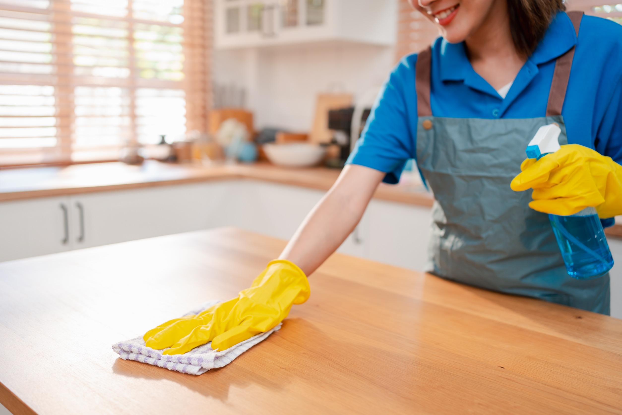 House Cleaning Service